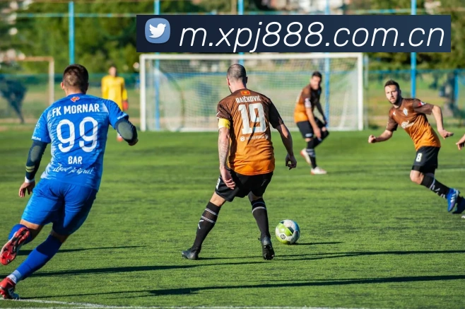企业概况